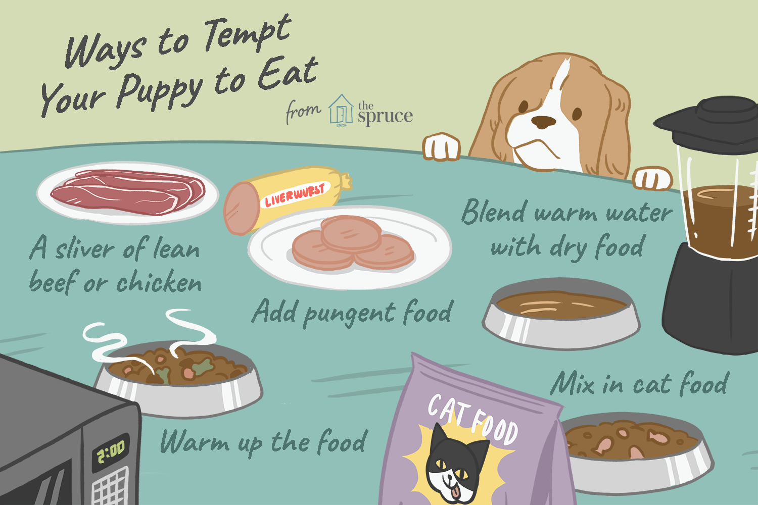 ways to get your puppy to eat