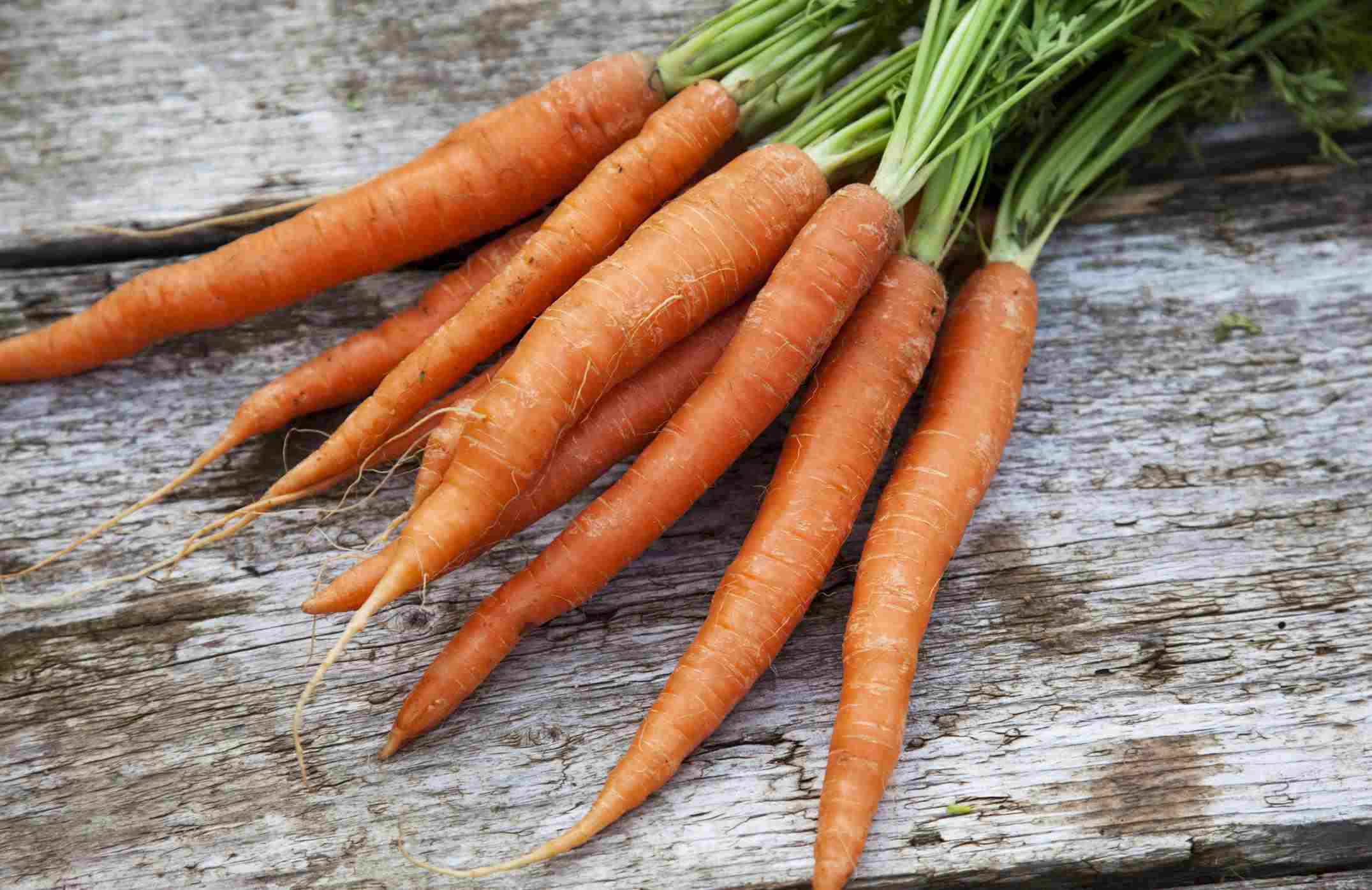 A bundle of fresh carrots