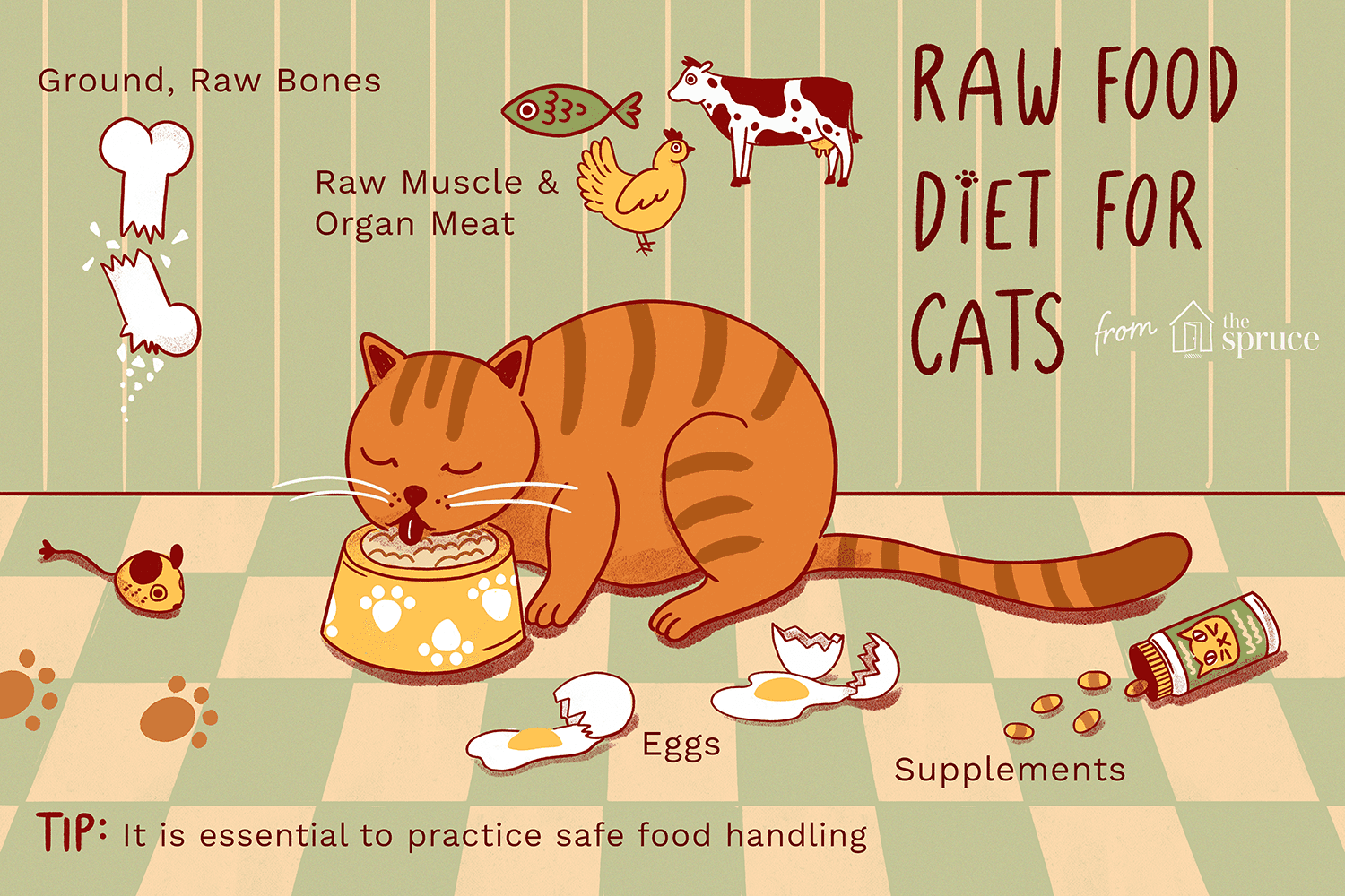 An illustration of a cat eating from a bowl with foods for a cat raw diet