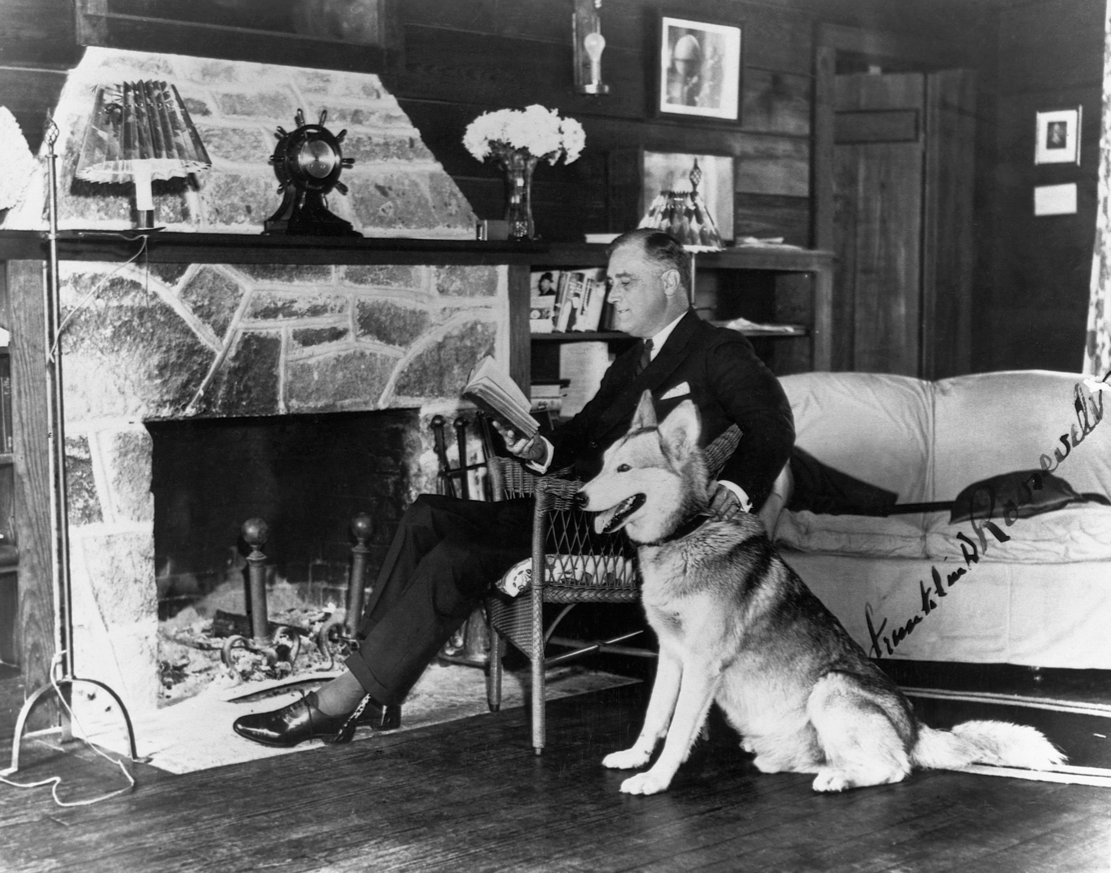 Franklin D. Roosevelt Reading with Siberian Husky