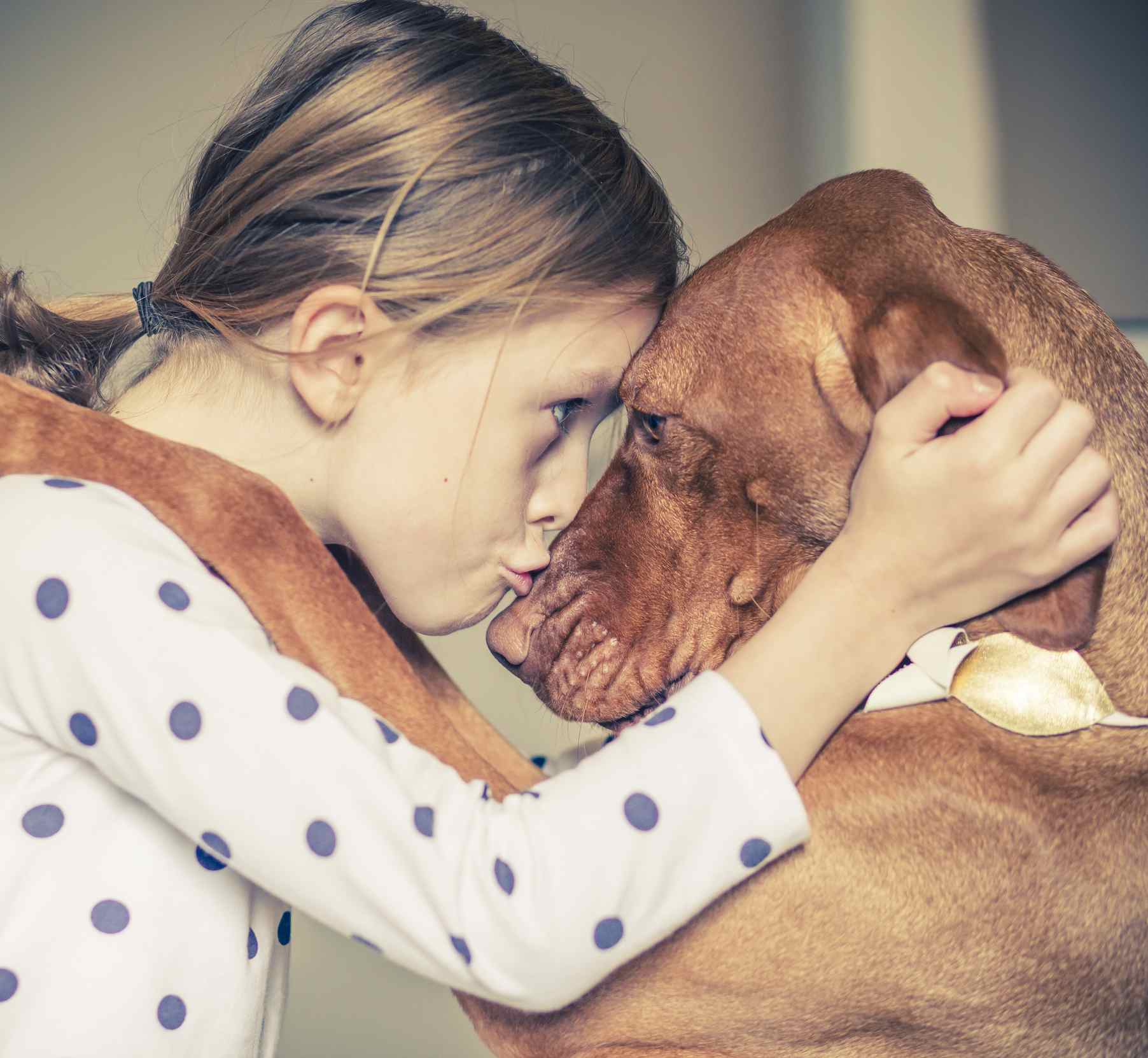 A hug between a young girl and her pet dog