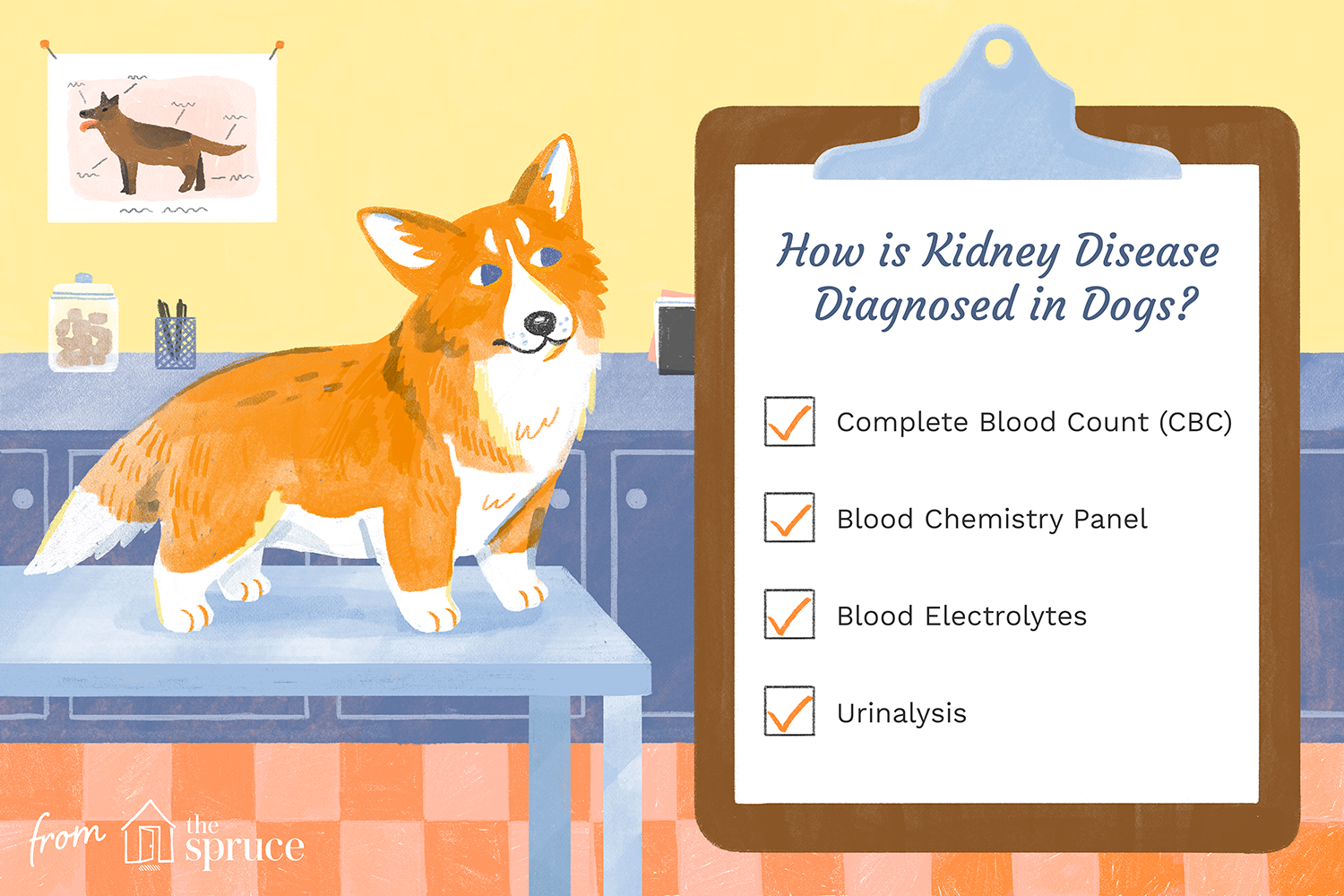 kidney disease diagnosis in dogs illustration