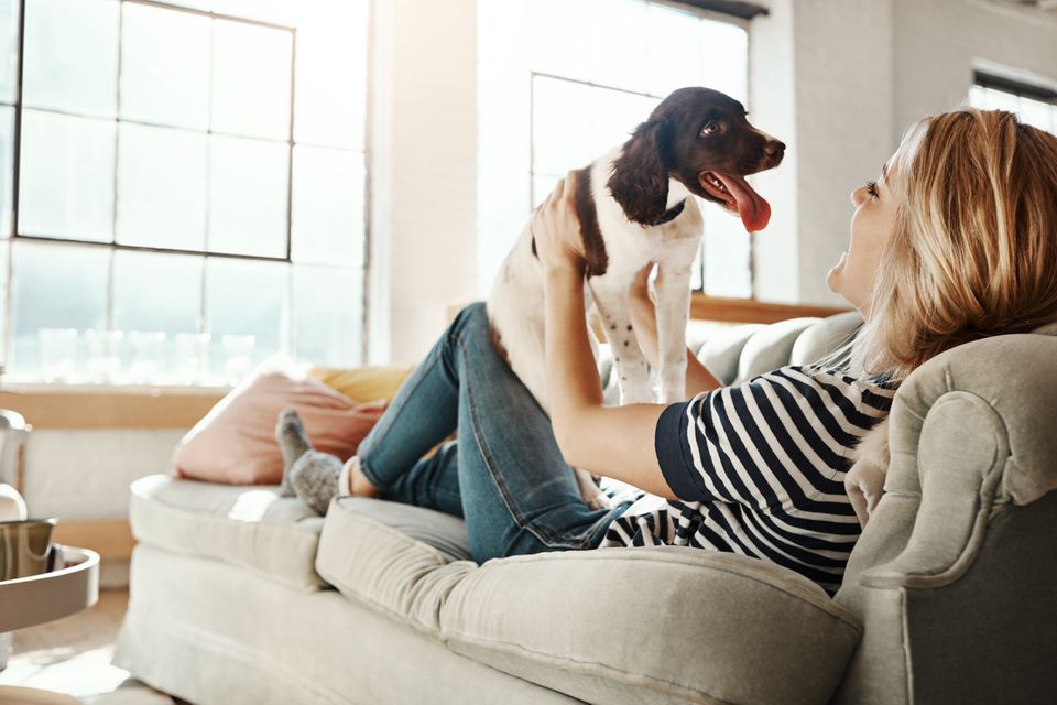 Woman plays with dog on couch