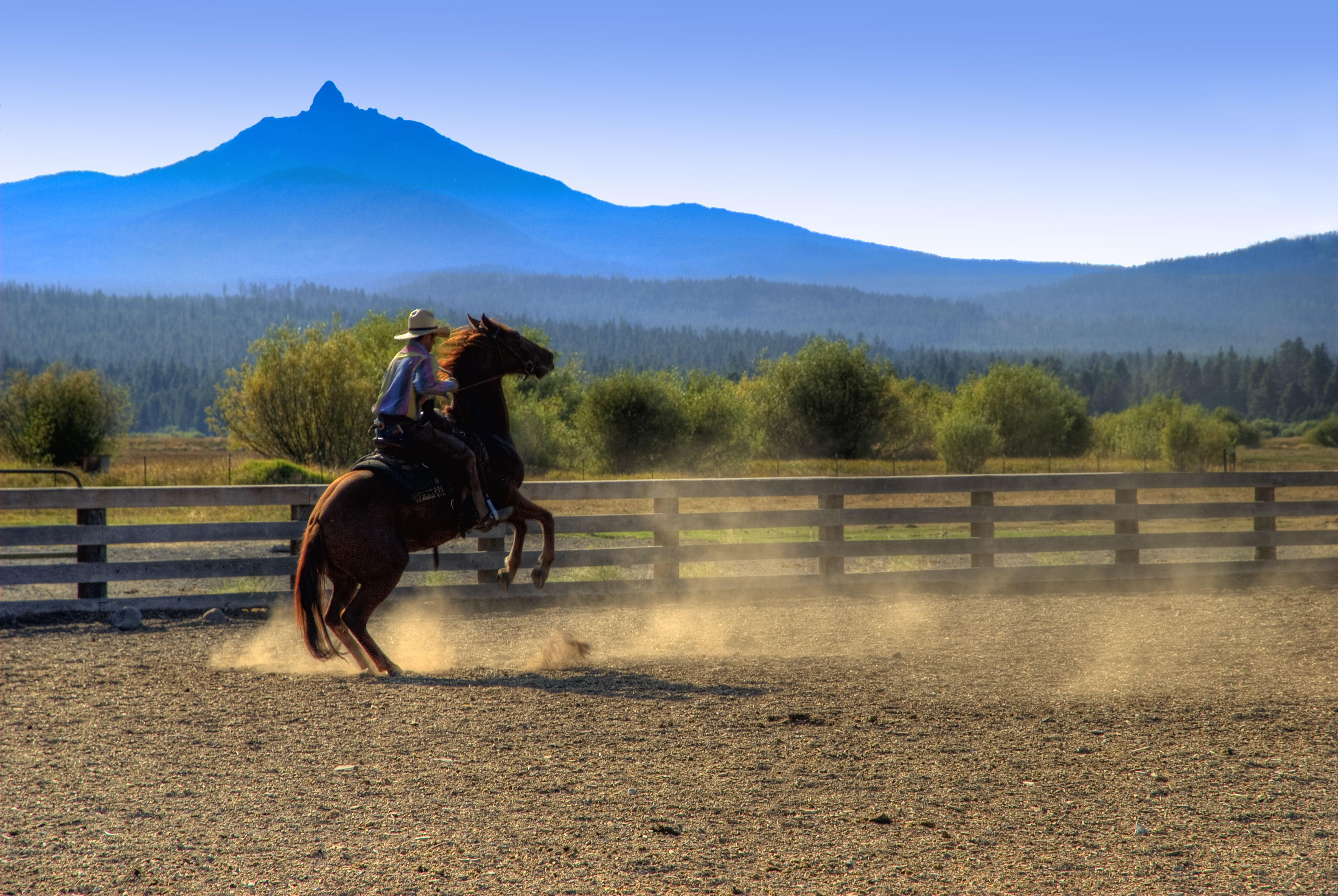 Cowboy riding bucking horse