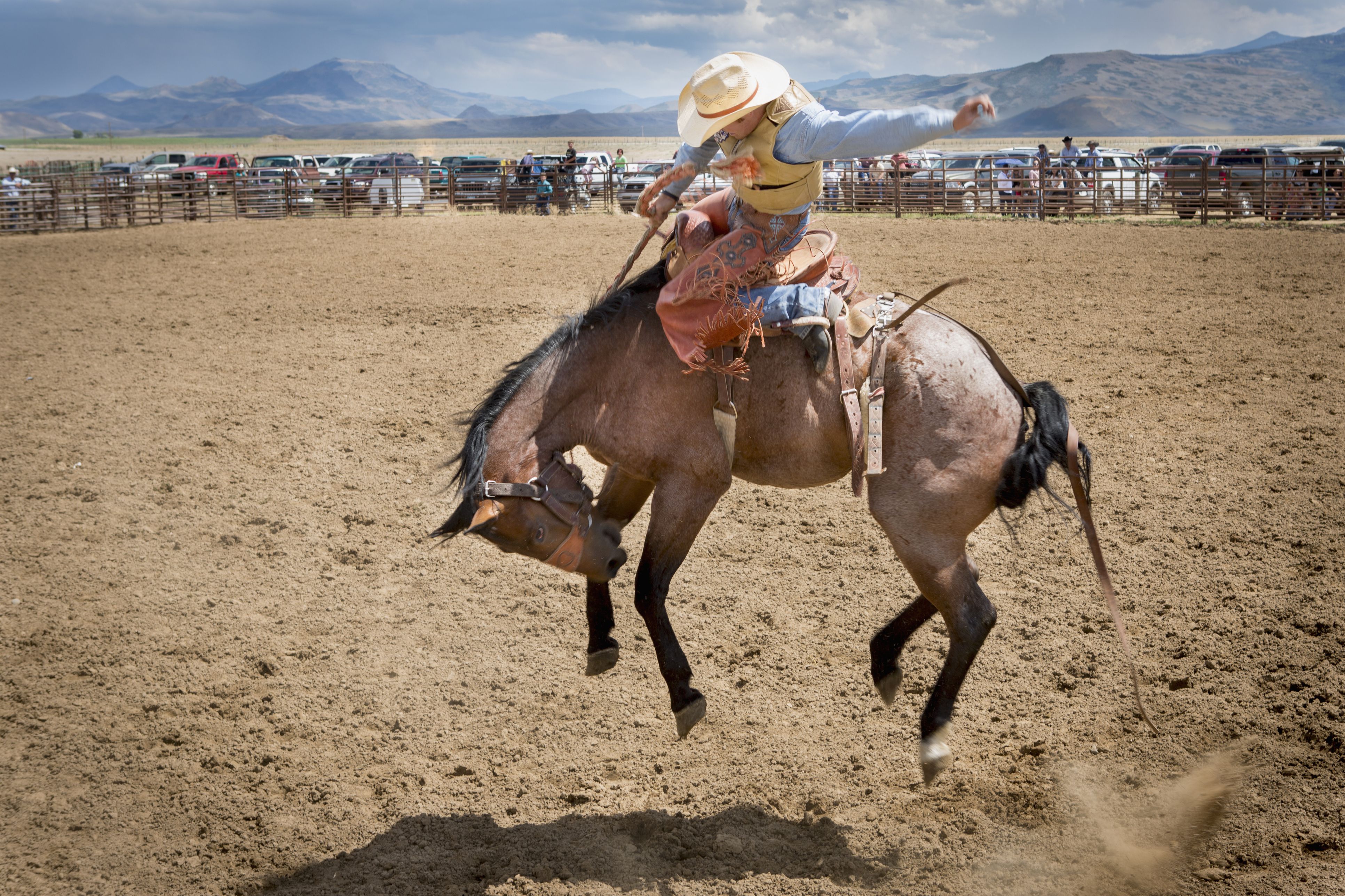A cowboy rides a bucking horse