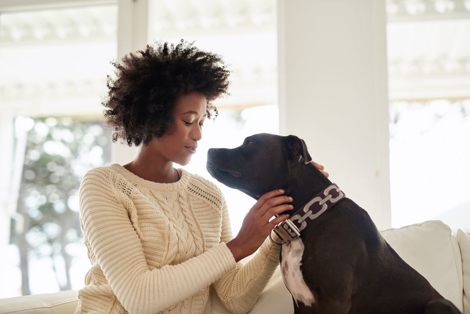 Woman petting black terrier