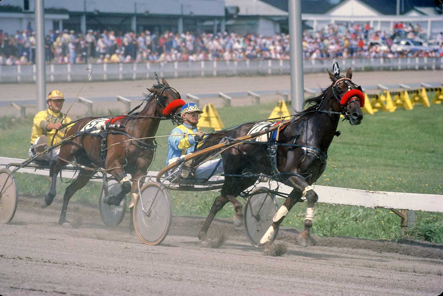 American standardbred horses racing on a track
