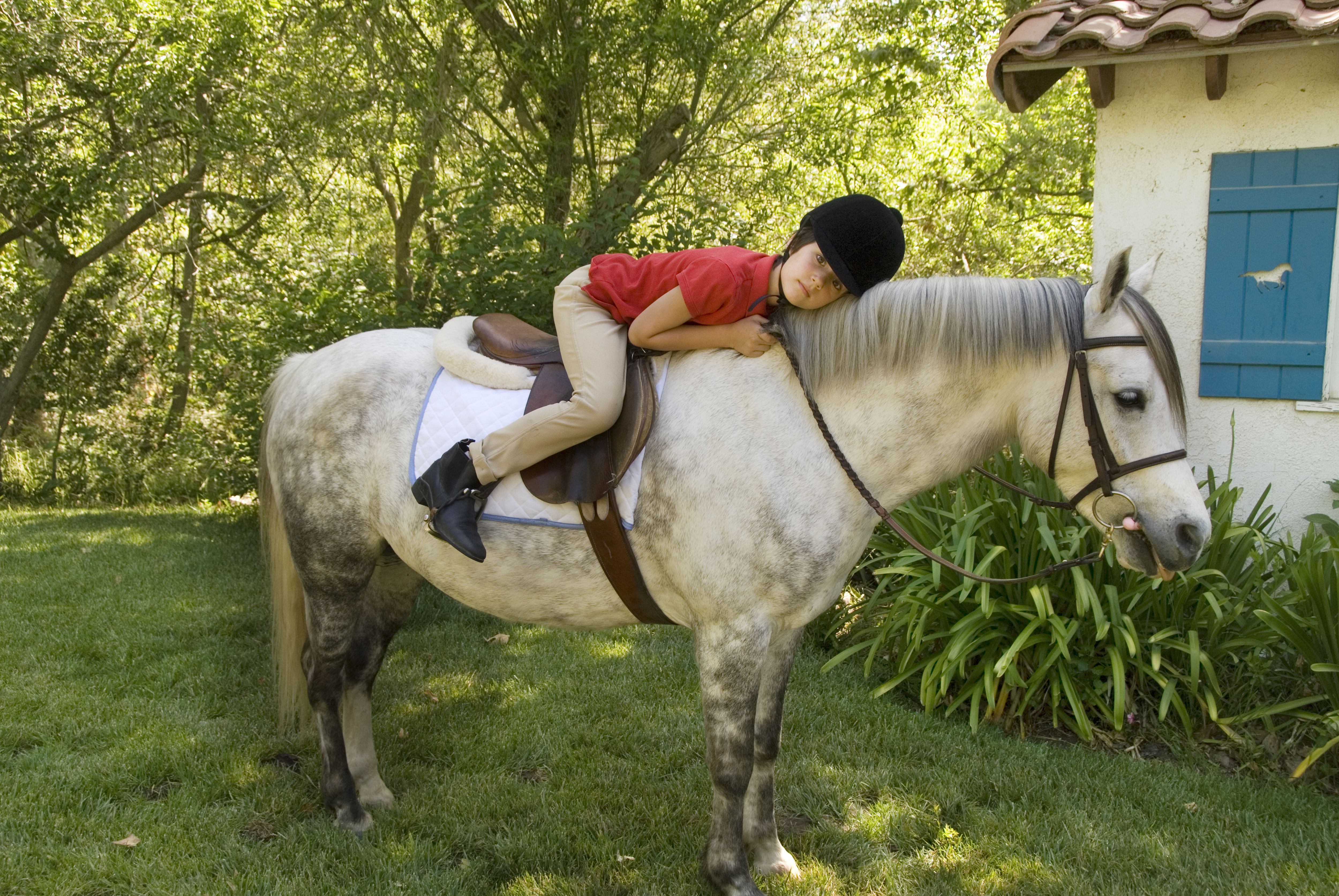 Child riding a Welsh pony