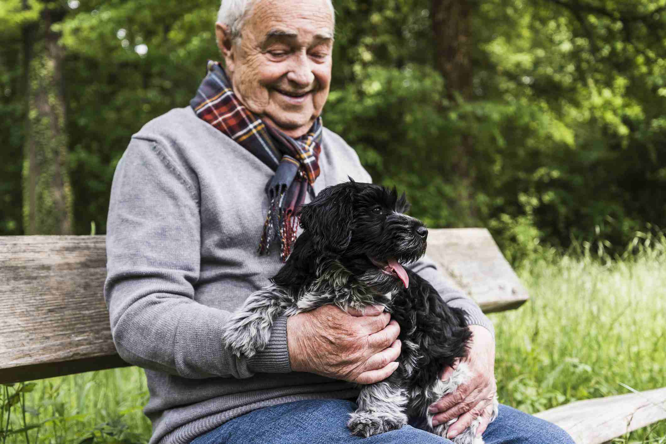 senior man sitting on bench with dog