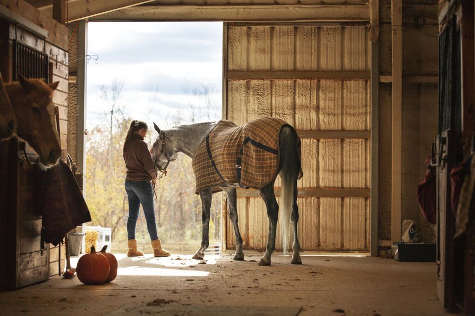 Teen Girl Caring for Horse in a Stable