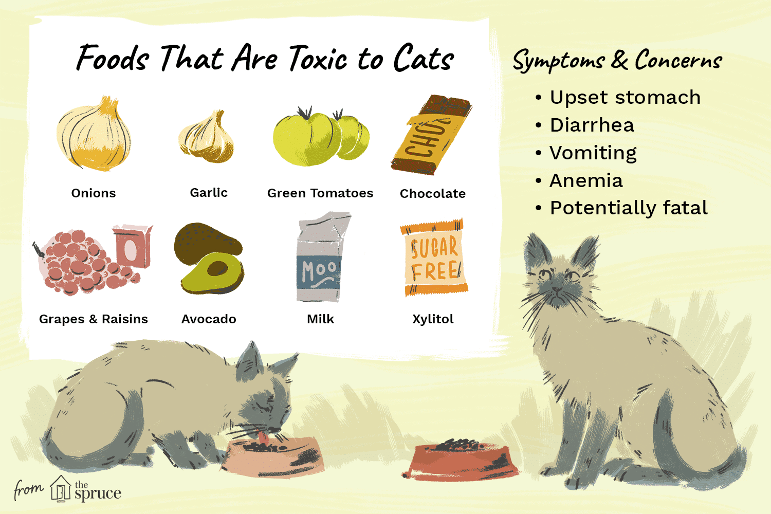 illustration of foods that are toxic to cats