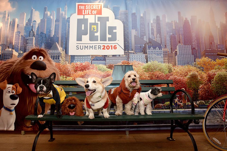 The Secret Life of Pets poster with dogs sitting on a bench