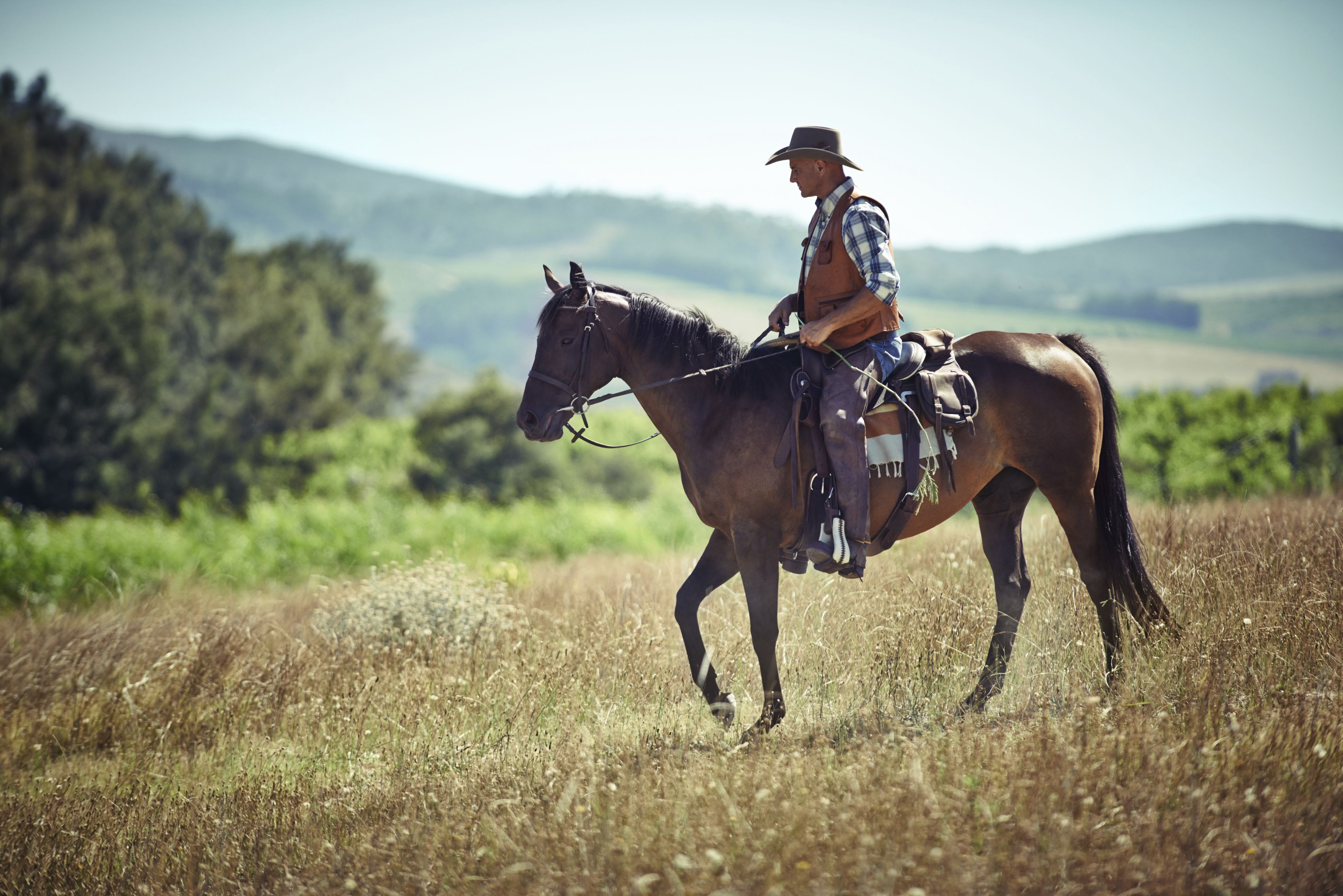 He's a lone rider