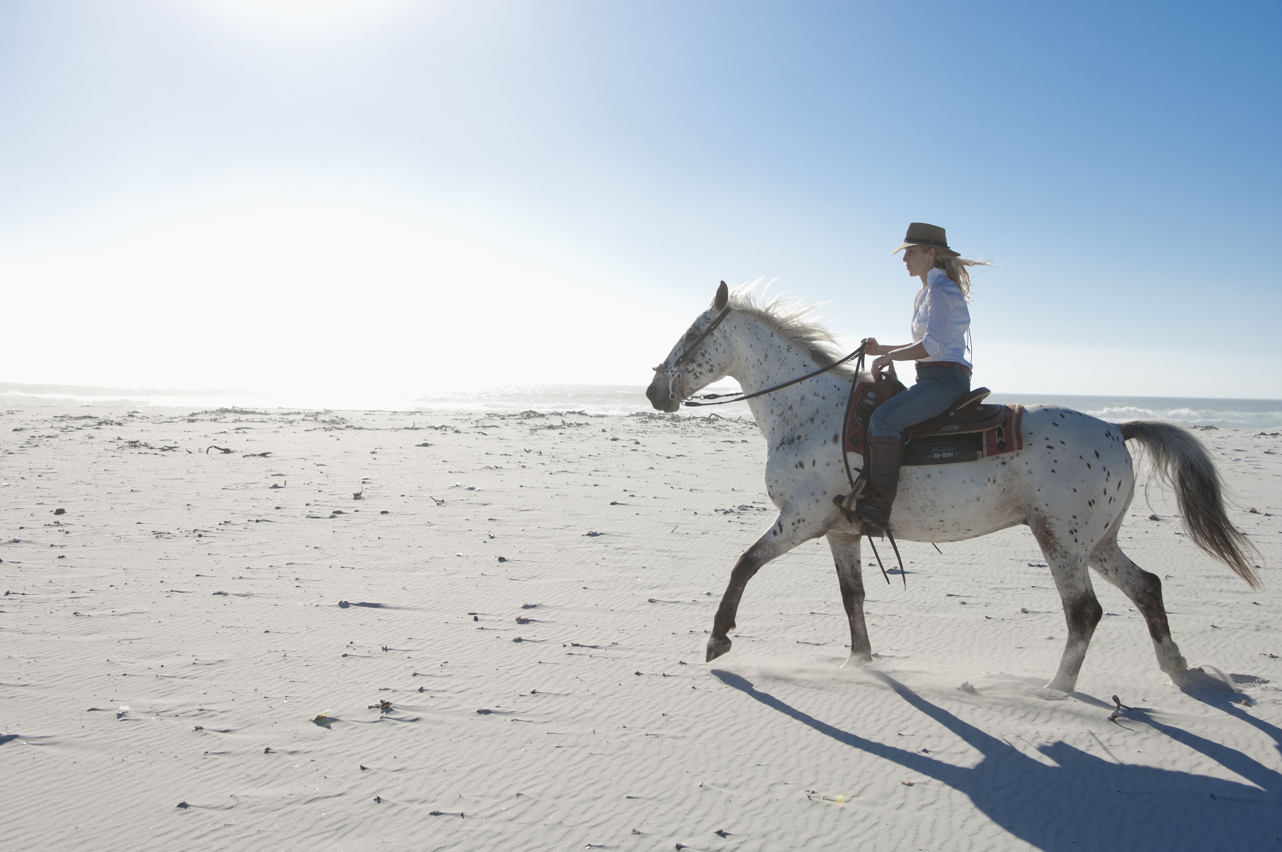 Horseriding in the sand