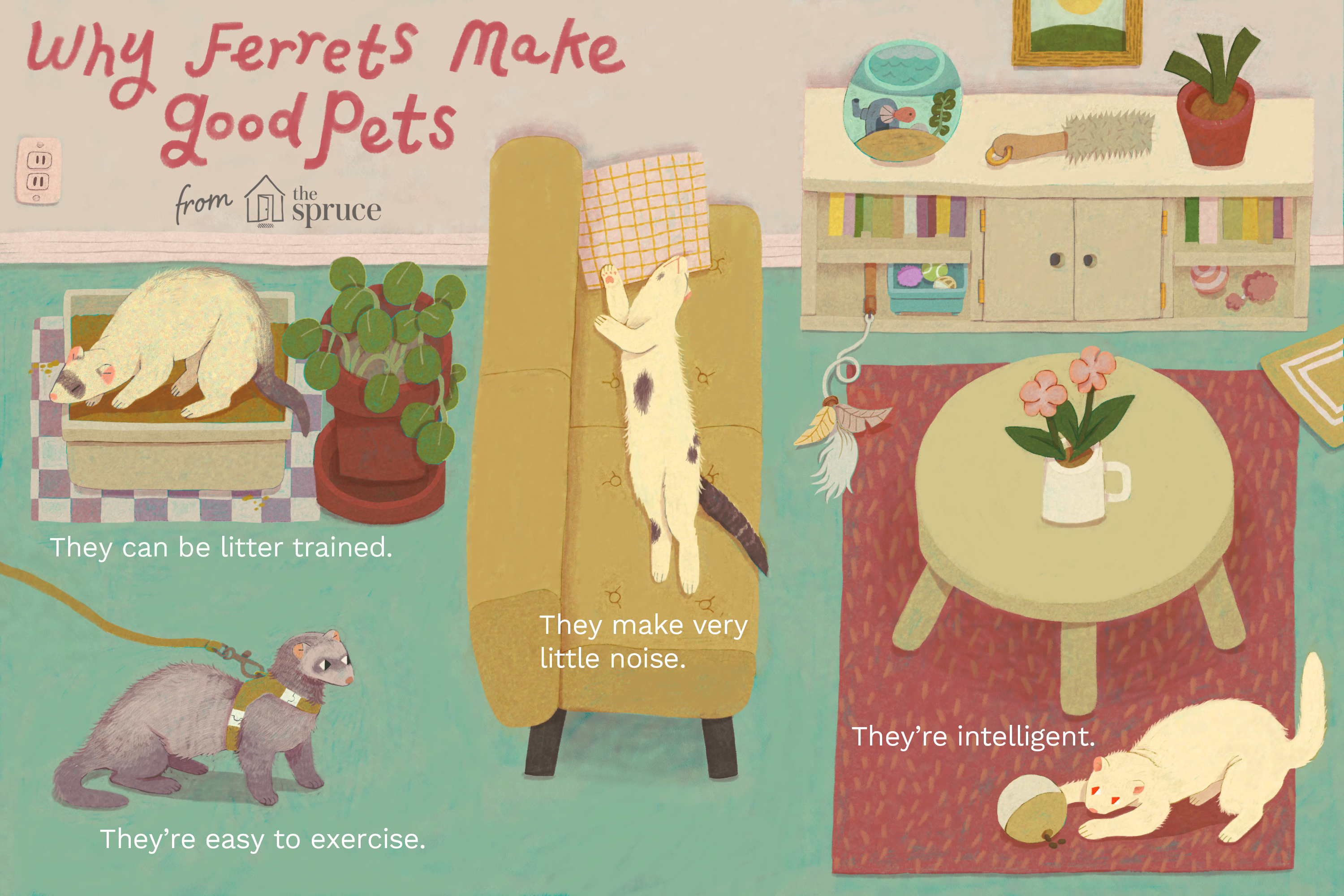 why ferrets make good pets illustration