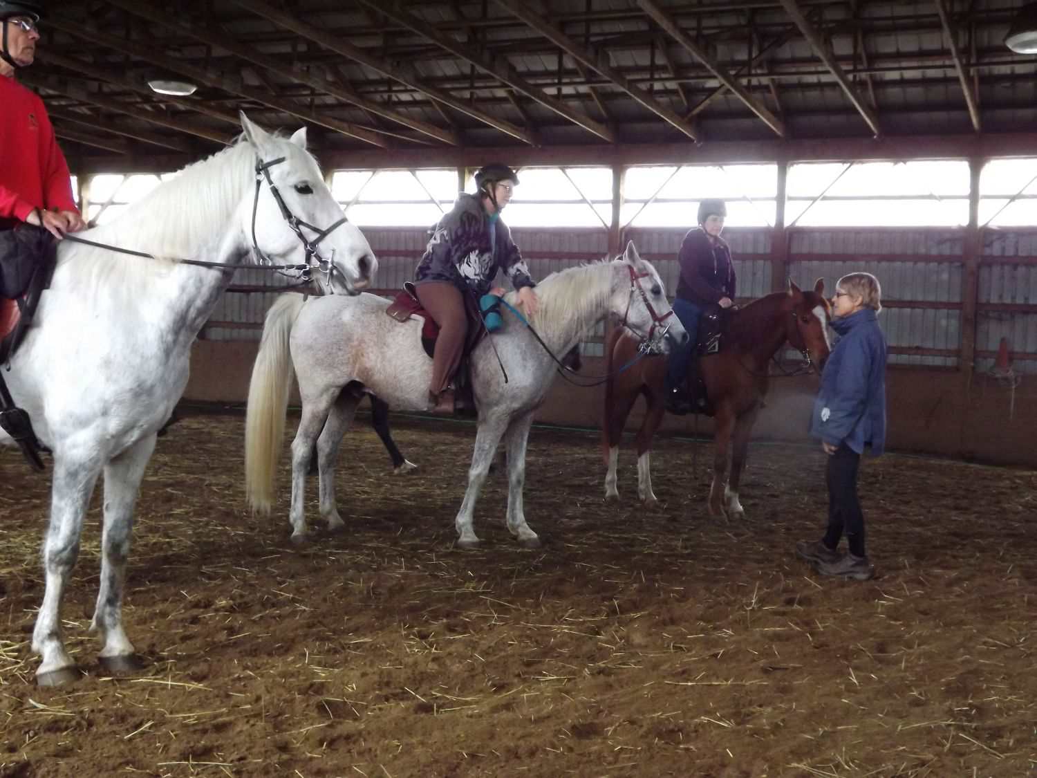 A horse riding lesson