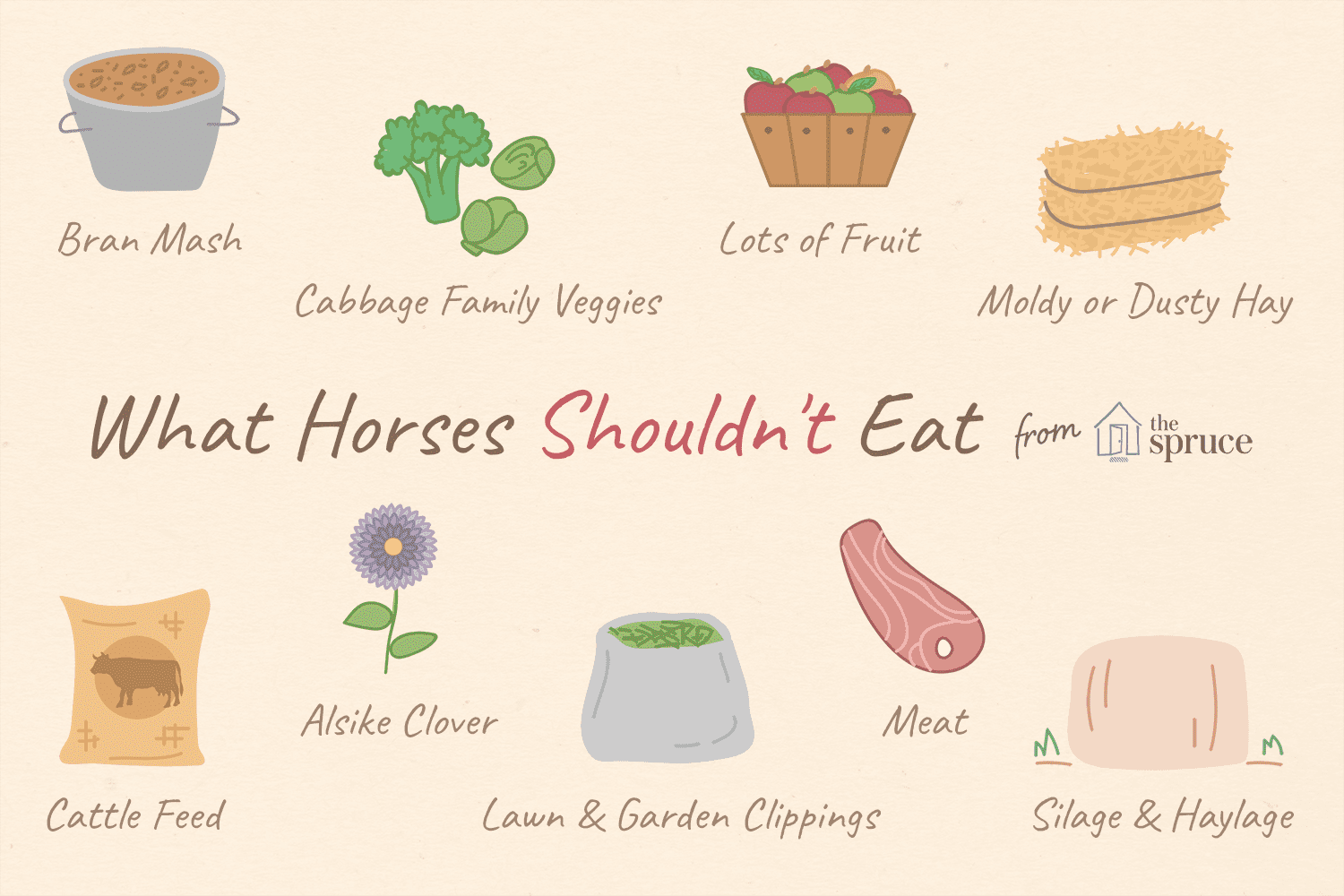 illustration of foods horses shouldn't eat