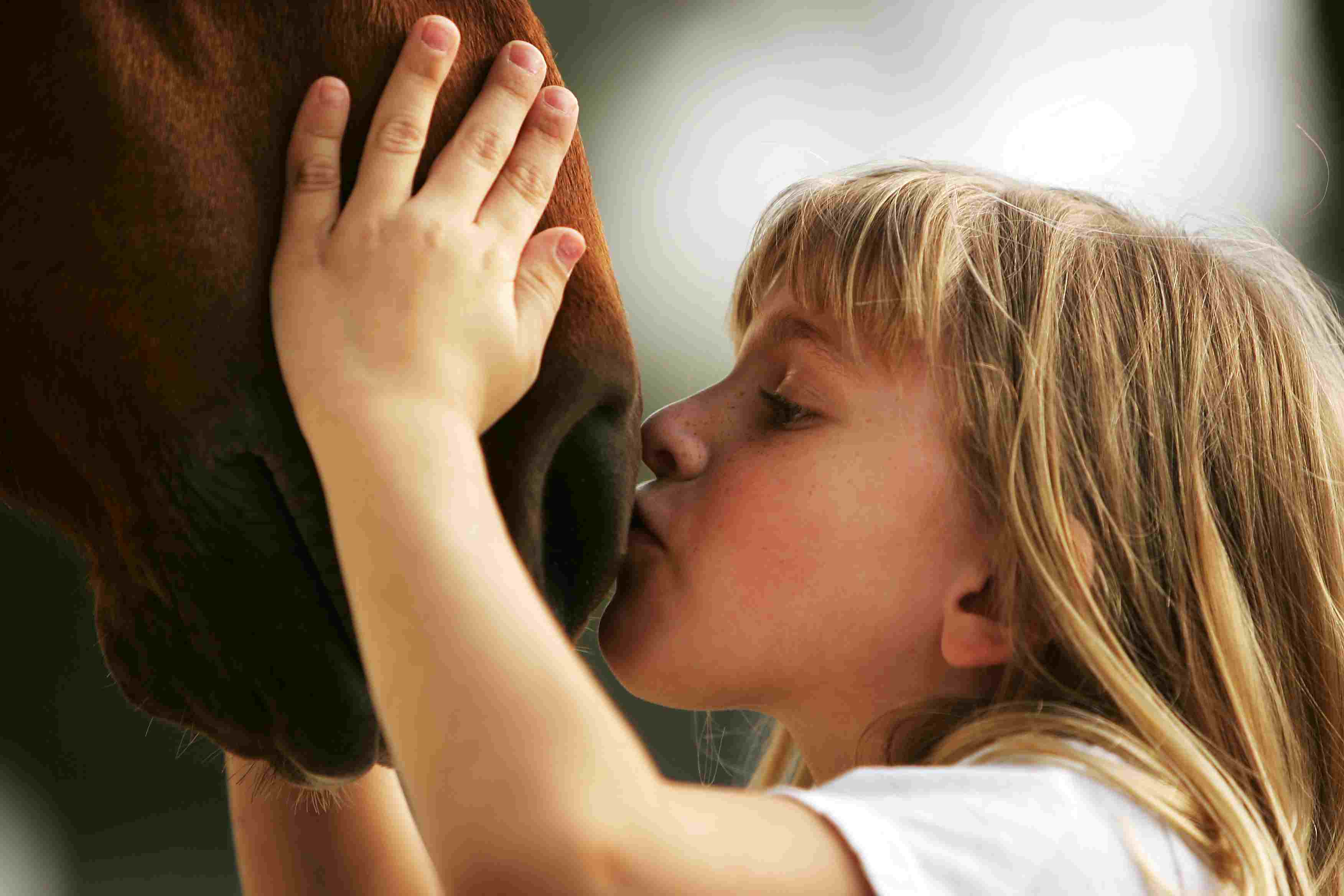 girl kissing horse nose
