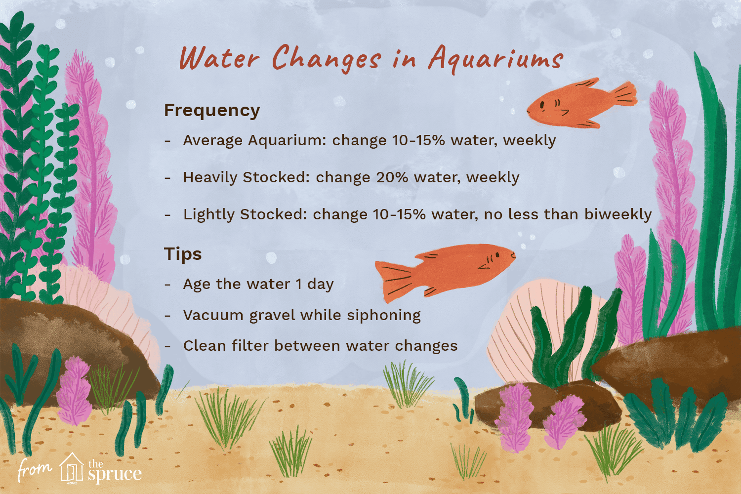 illustration of water changes in aquariums
