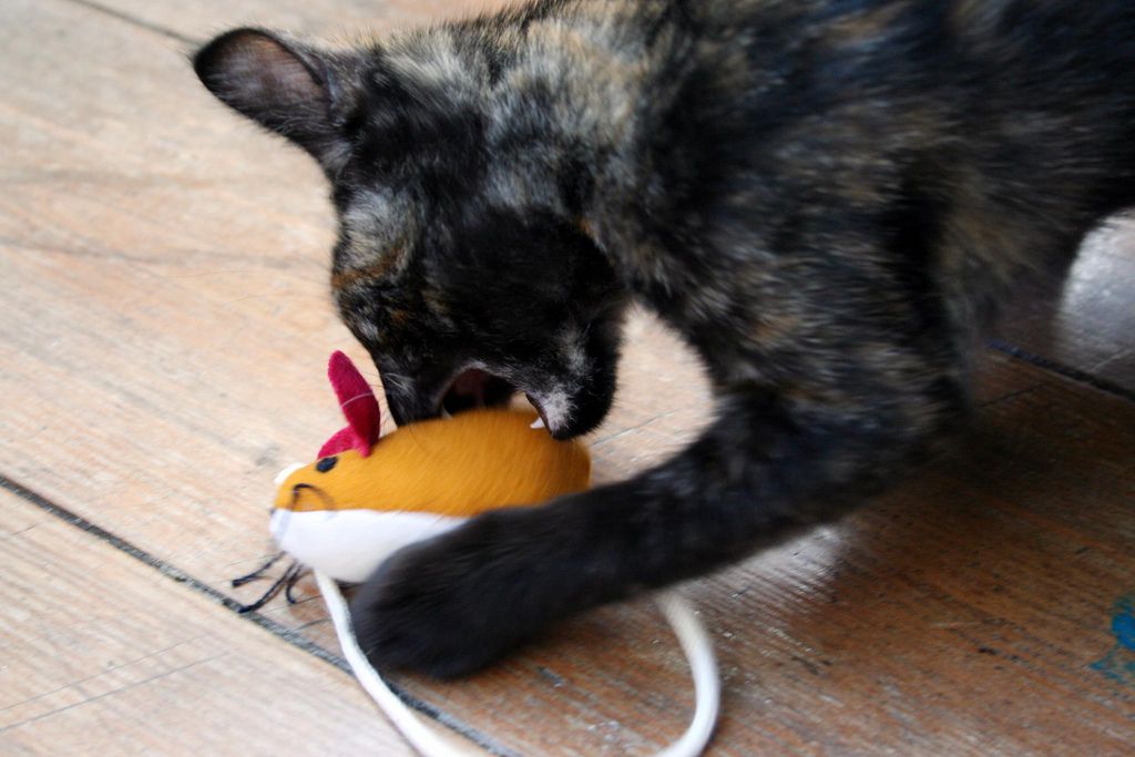 Cat and rat toy