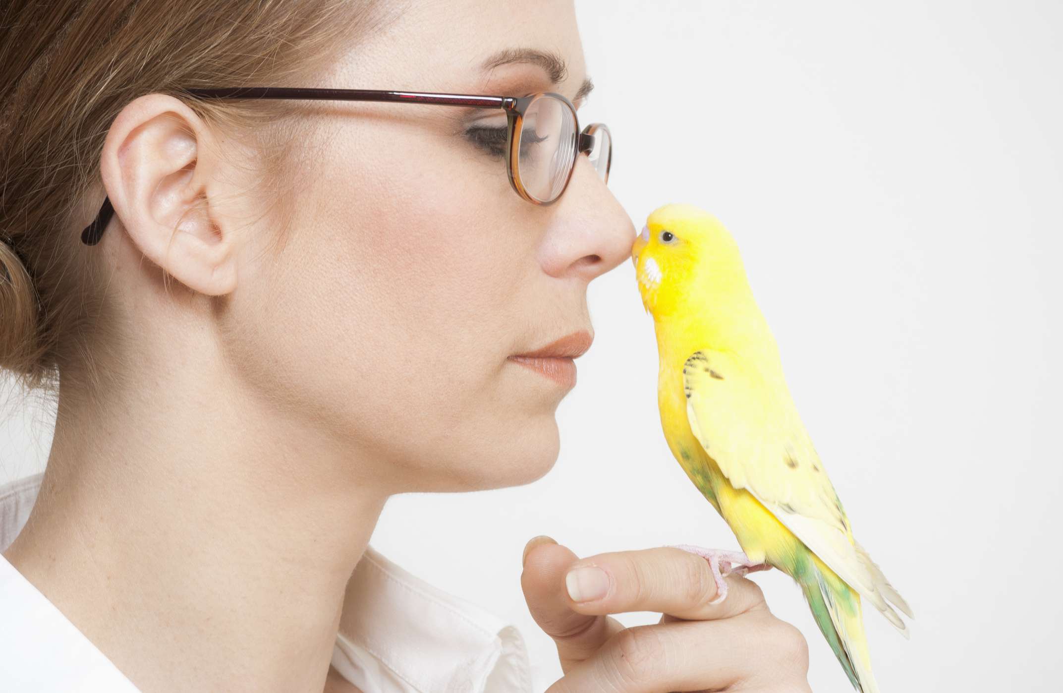 bird bonding with woman