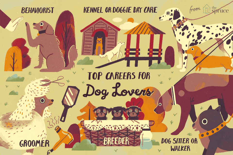 illustration of top careers for dog lovers