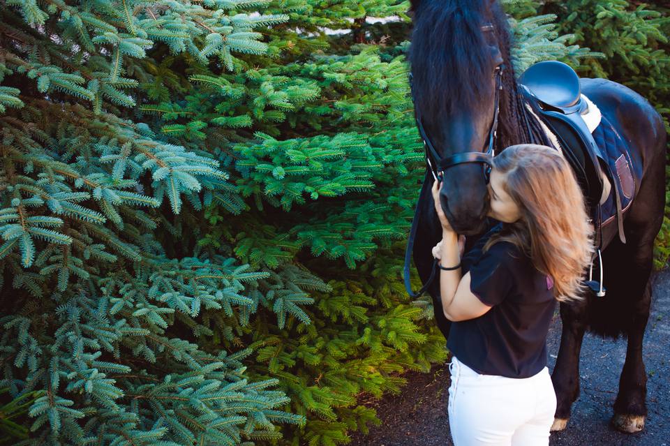 Young Woman Kissing Horse While Standing By Trees