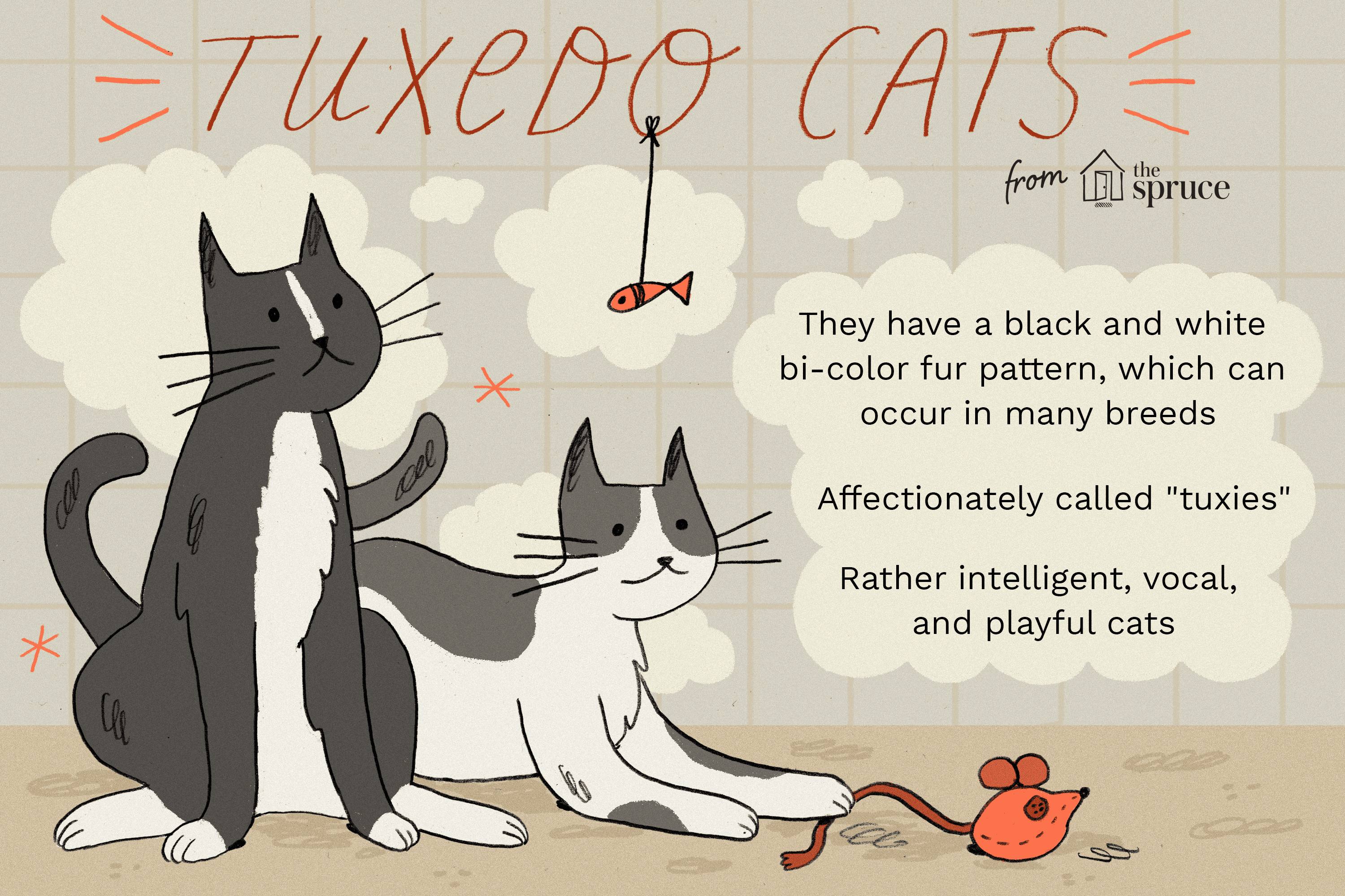 Illustration of a tuxedo cat playing with a toy next to chart of cat facts
