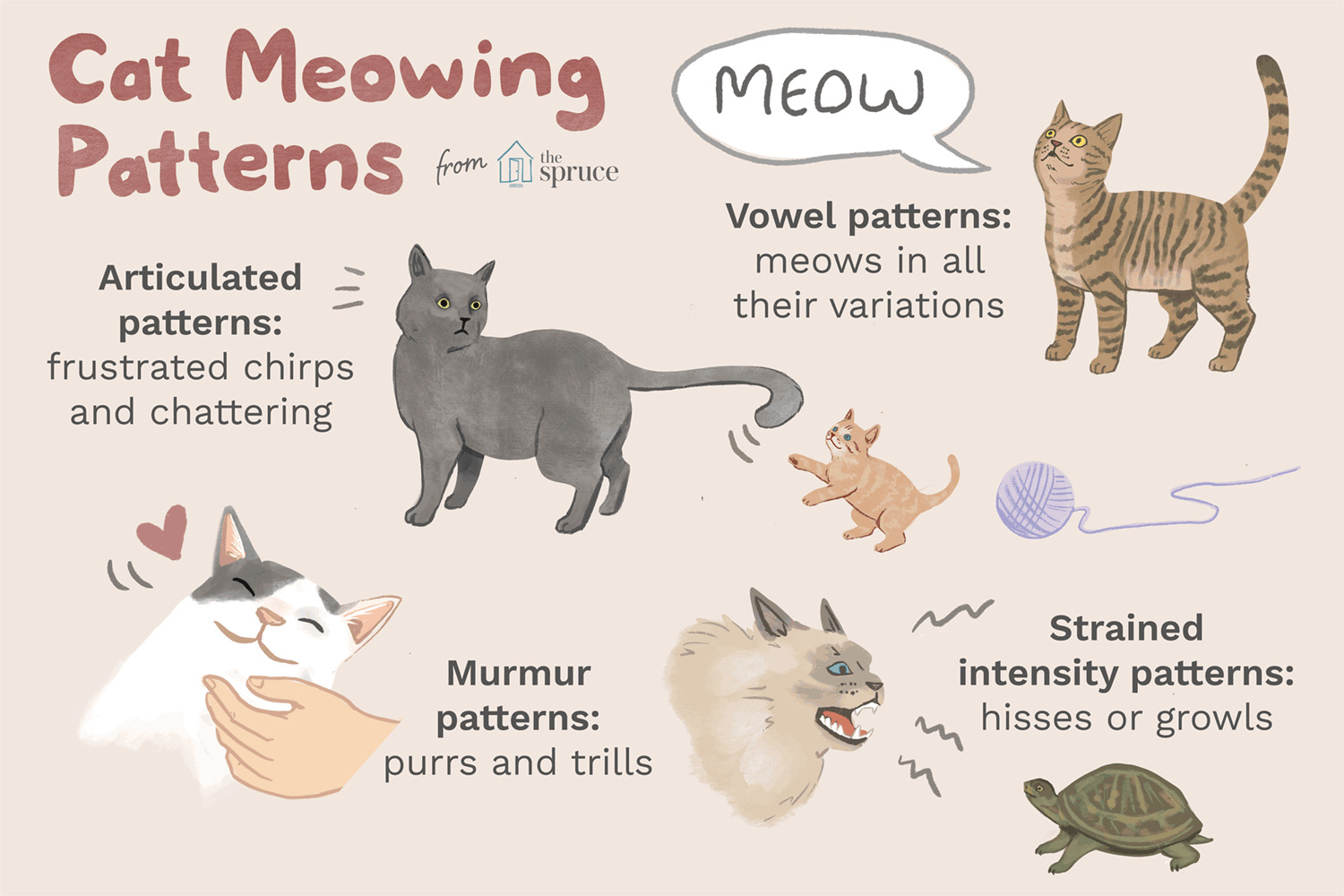 cat meowing patterns illustration