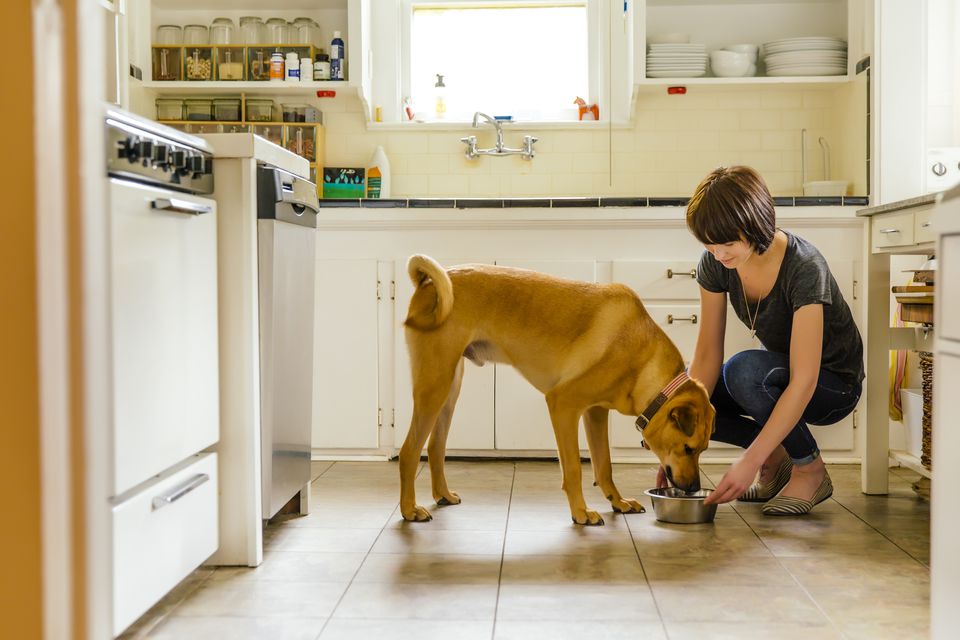 Woman feeding a dog in a kitchen