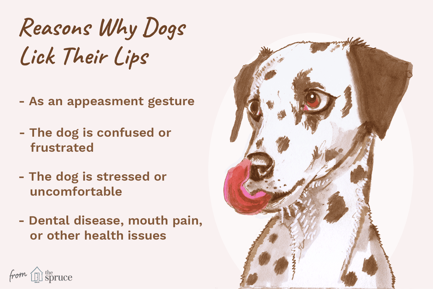 illustration of reasons why dogs lick their lips