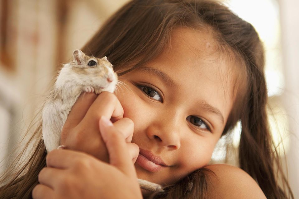 Child holding a pet gerbil.