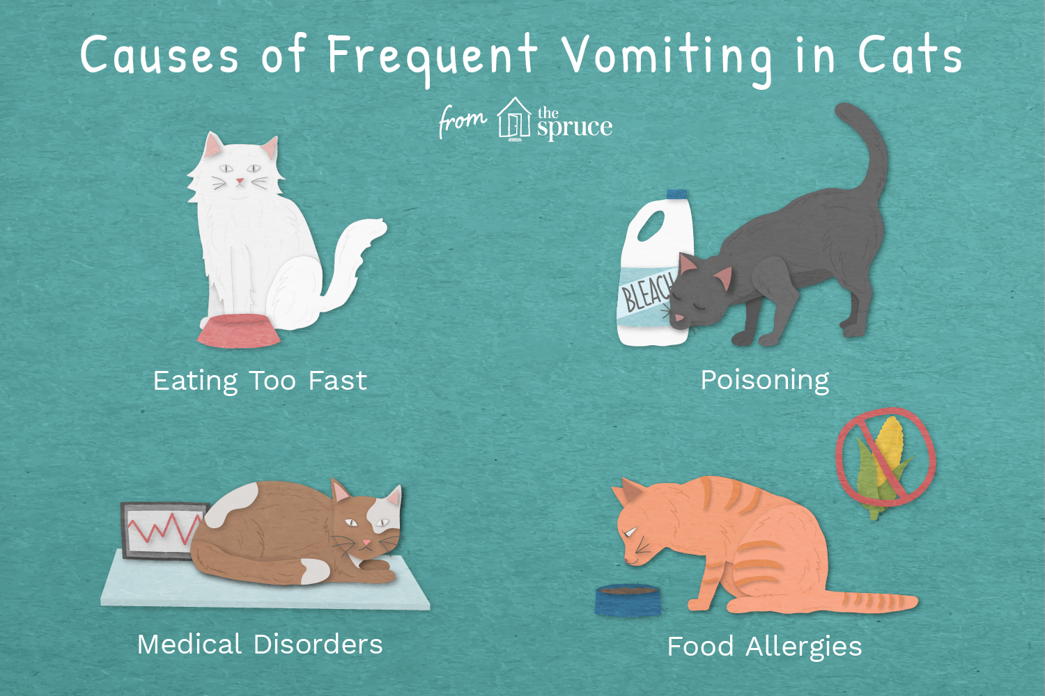 causes of frequent vomiting in cats illustration