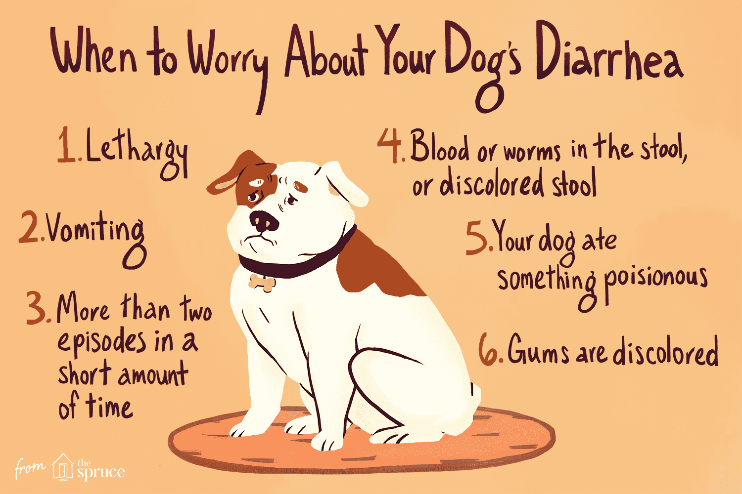 An illustration of a dog and warning signs about when to worry about your dog's diarrhead