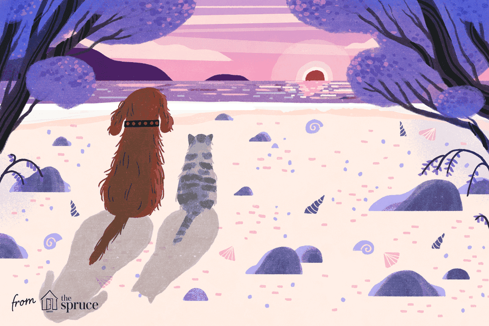 illustration of dog and cat looking off into the sunset; pet ethuanasia