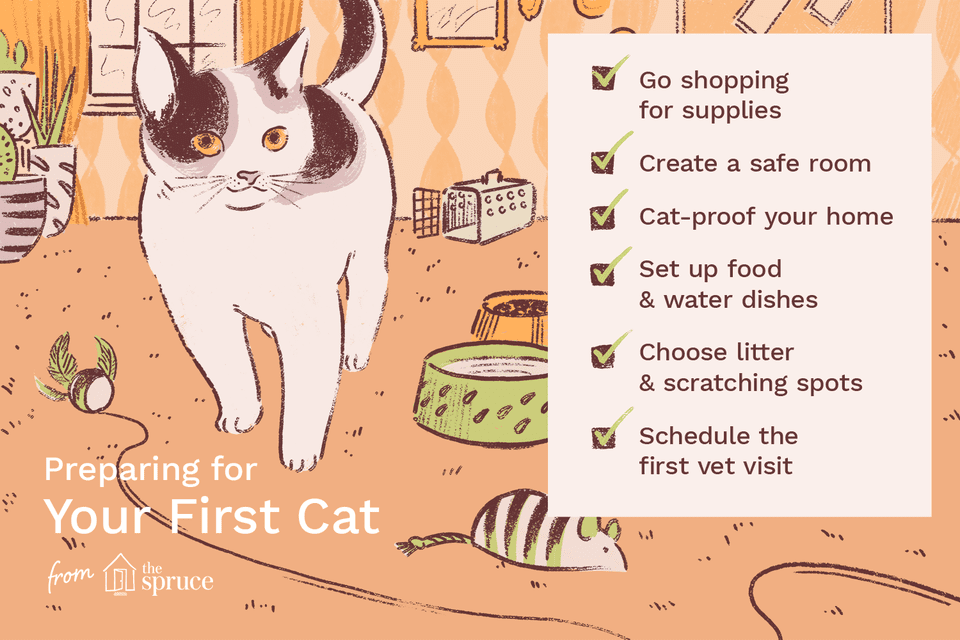 illustration of checklist for first cat
